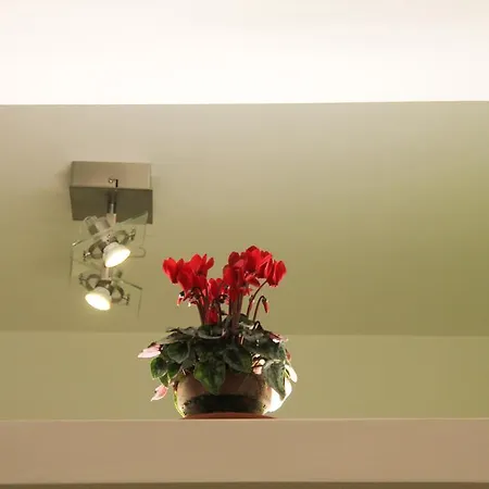 Maison Velia Apartamento